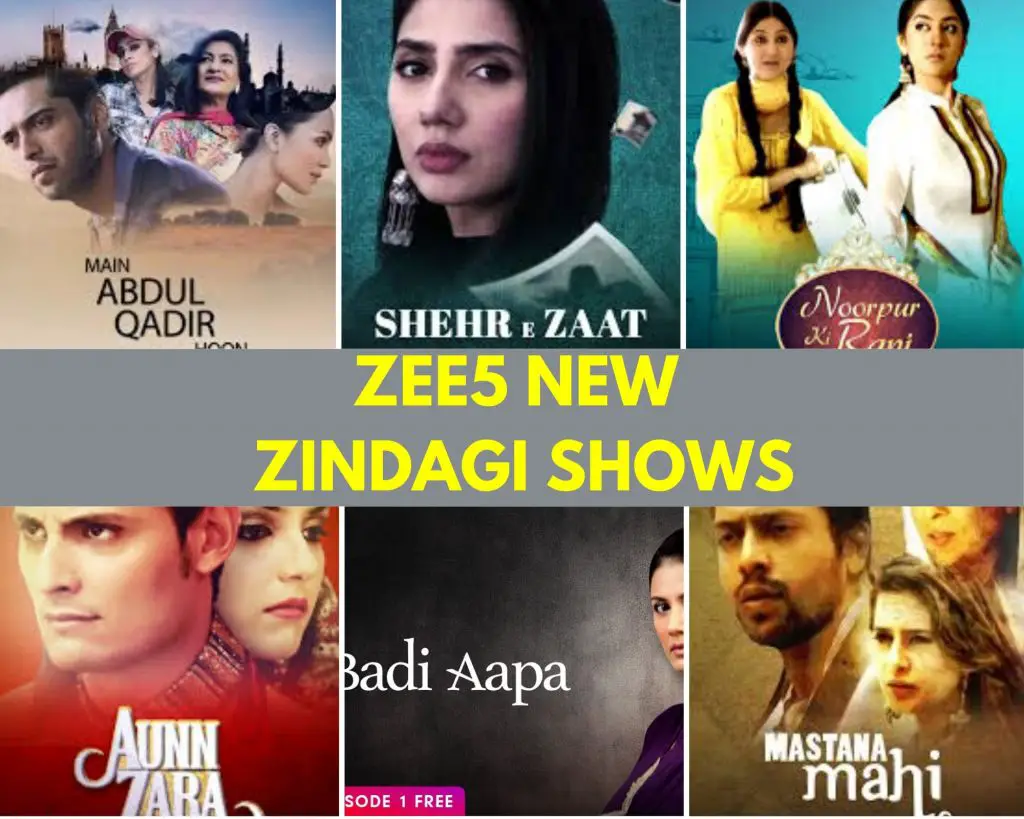 ZEE5, ZEE5 Zindagi Shows, OTT, Reviews, MommyShravmusings