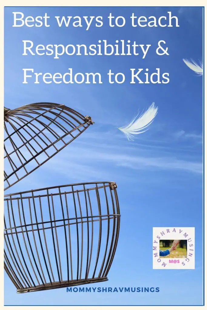 Freedom and Responsibility post by Mommyshravmusings