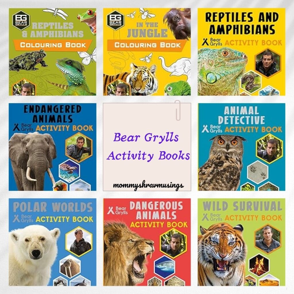 Bear Grylls Activity Books