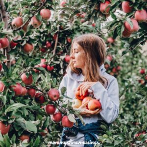 Apple Picking Race - Party Ideas for Teens