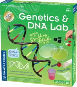 Genetics and DNA Lab kit picture from Amazon